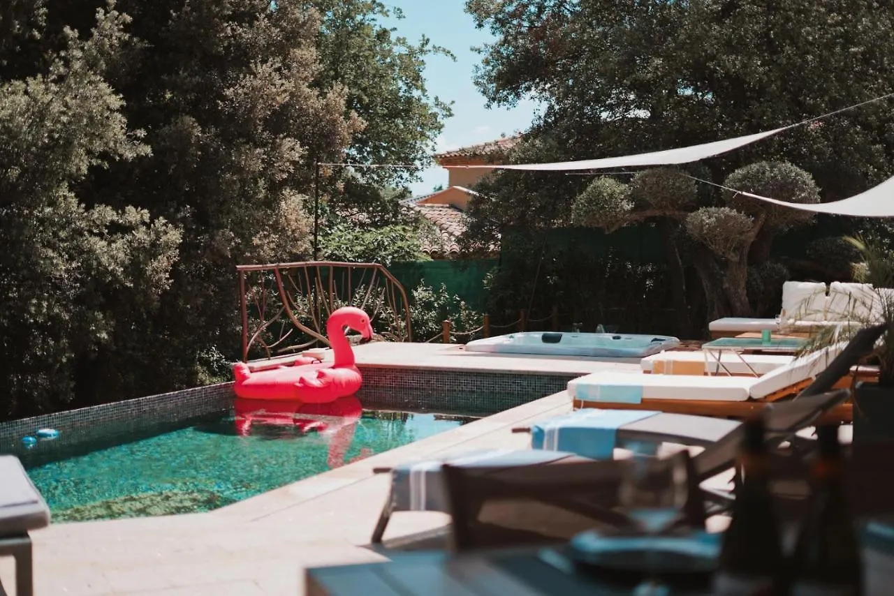 Modern Villa Swimming Pool And Private Jacuzzi Le Muy
