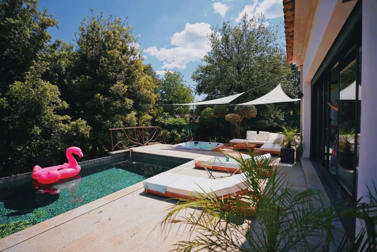 Modern Villa Swimming Pool And Private Jacuzzi Le Muy France